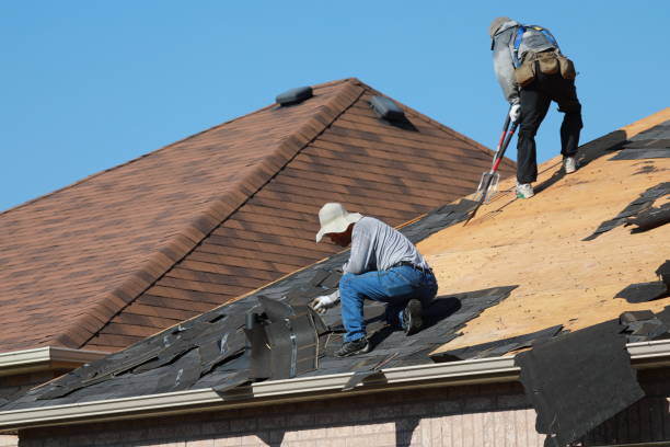 Best Roof Moss and Algae Removal  in Jeffersonville, KY